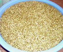 青大豆は水でよく洗い一昼夜水に浸しておく。大豆は水を含み3倍ほどになるので容器の大きさに注意です。